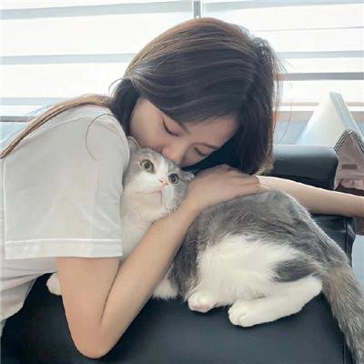 君子好逑